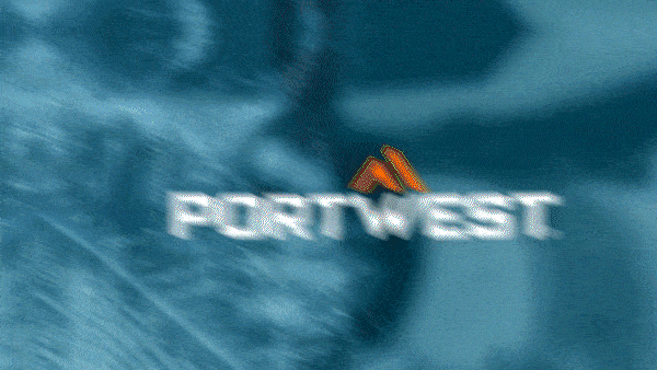 Protezione Termica per le Mani Portwest.